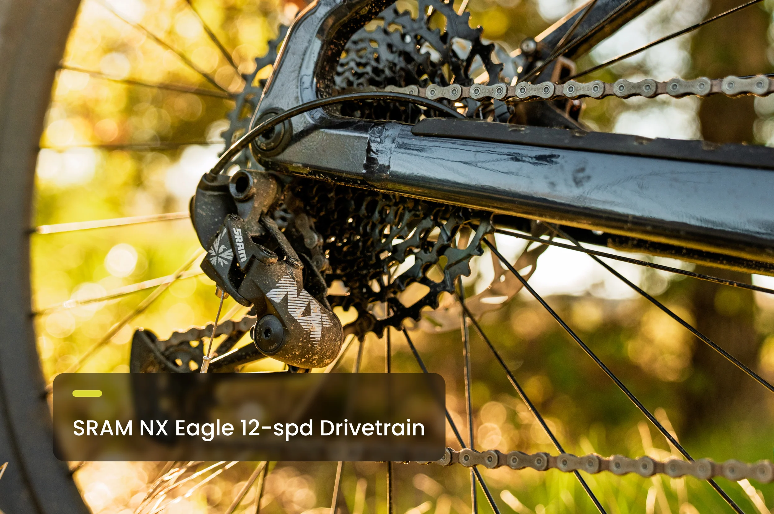 Ramblas ADV Ebike - Image 14